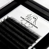 Wavy Lashes