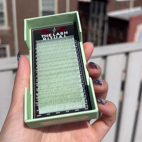 Decode 0.05 [MEGA.matte]